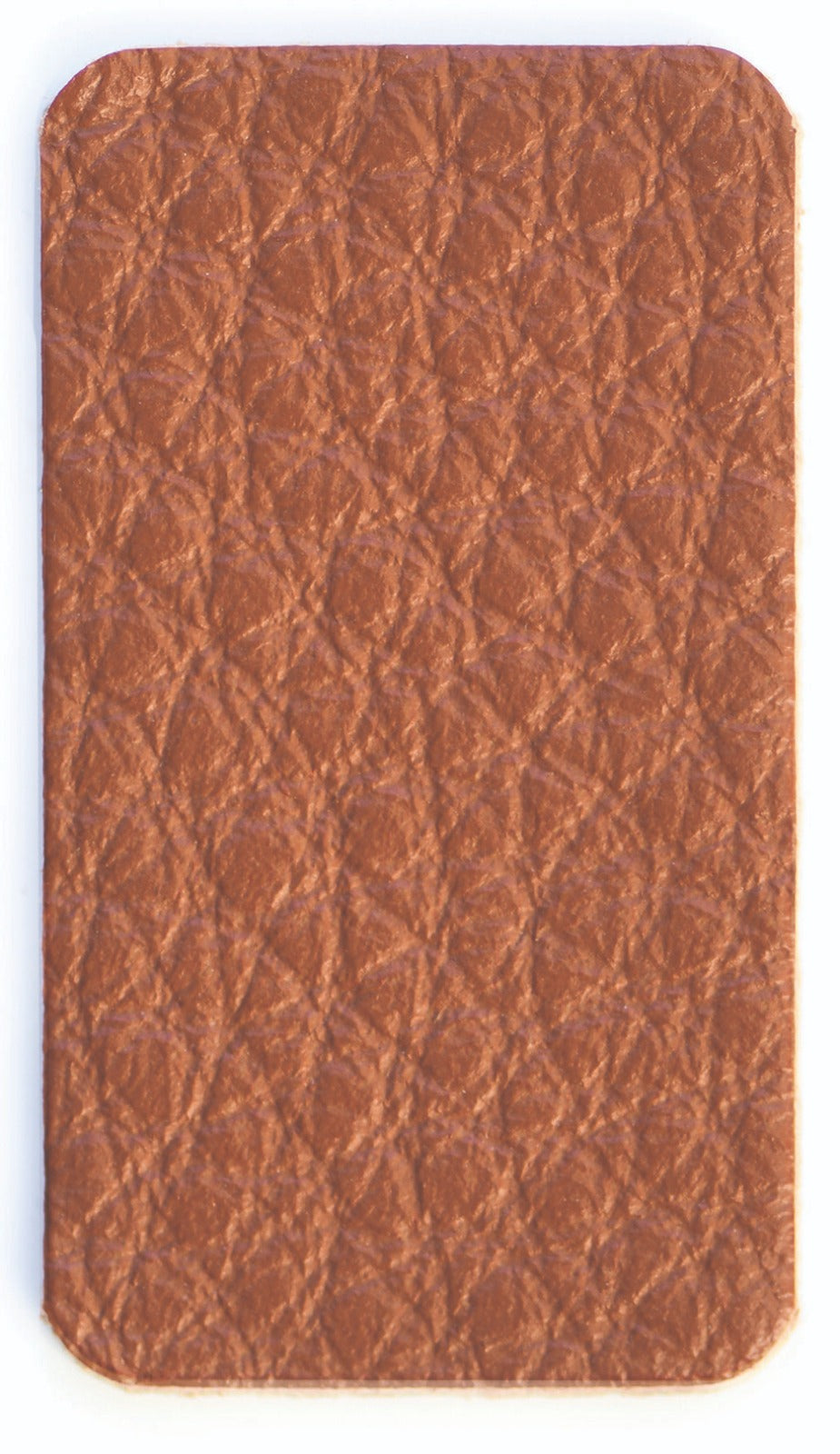 Eucalipto Color Swatch