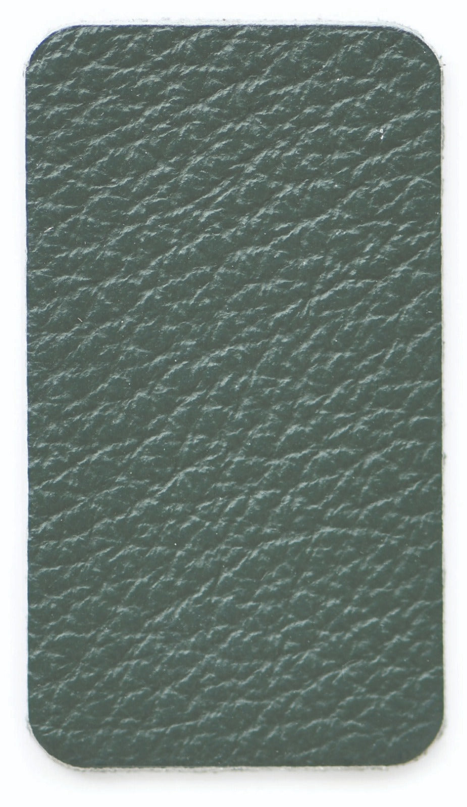 Loden Color Swatch