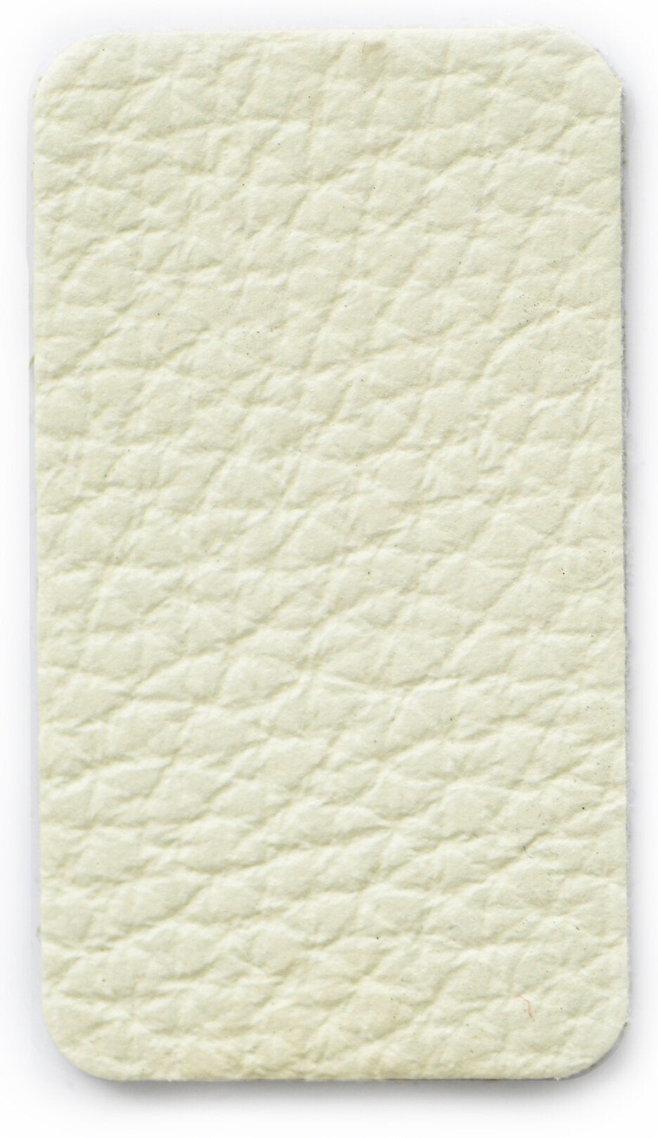 Butterfly Color Swatch