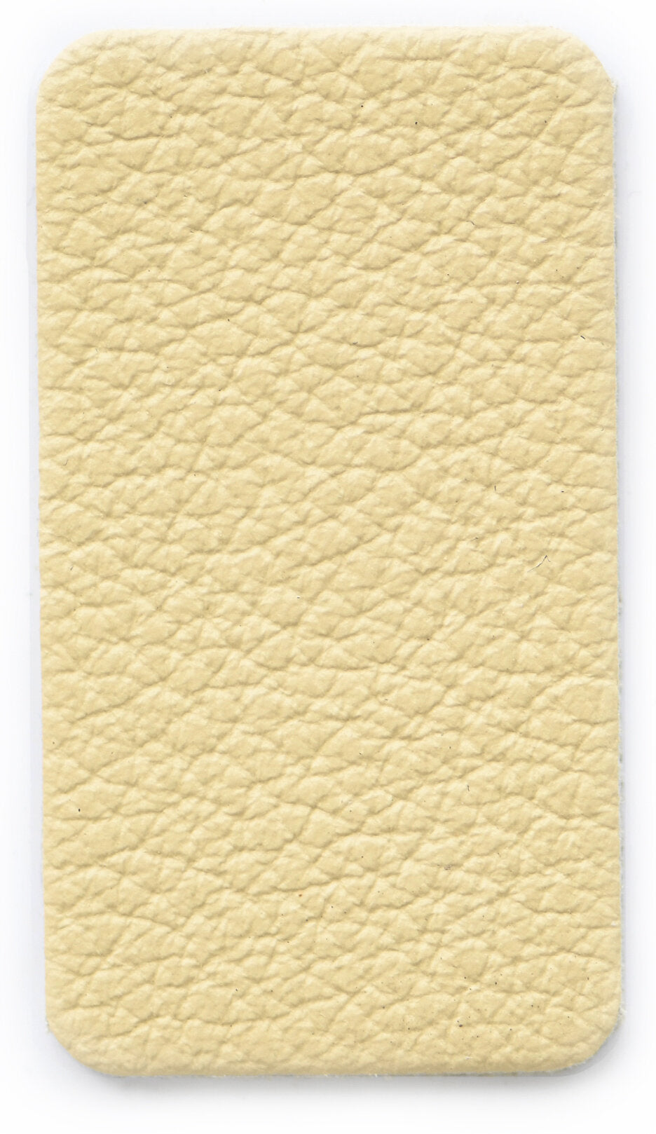 Champagne Color Swatch