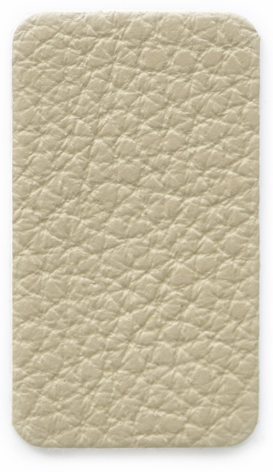 Ash Color Swatch