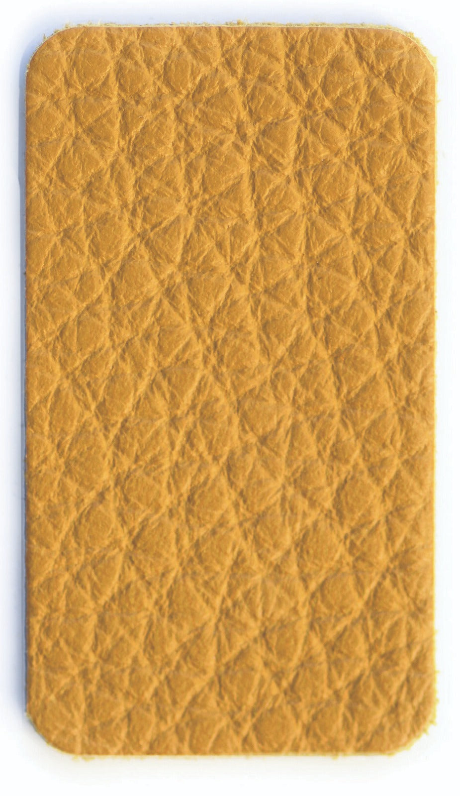 Sunflower Color Swatch