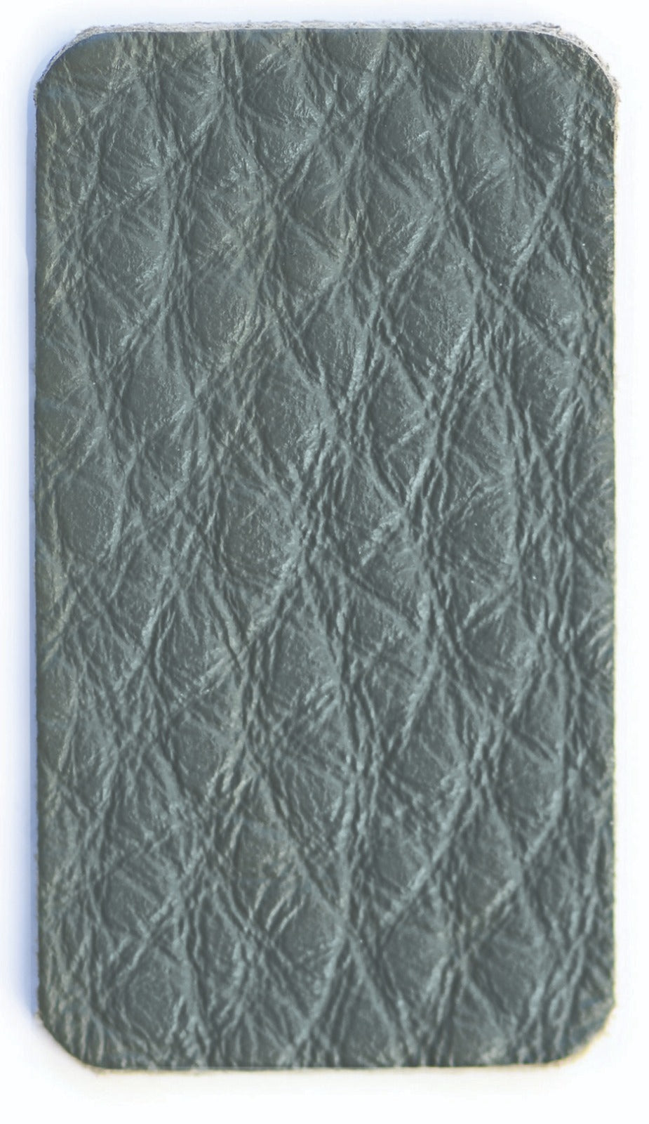 Sage Color Swatch